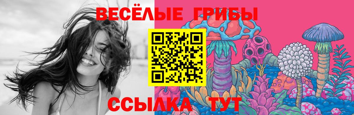Чебаркуль  купить наркоту  Вход с VPN  Псилоцибиновые грибы мицелий 